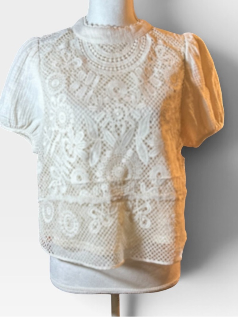 Alice Blue Ivory Lace Overlay Short Sleeve Blouse